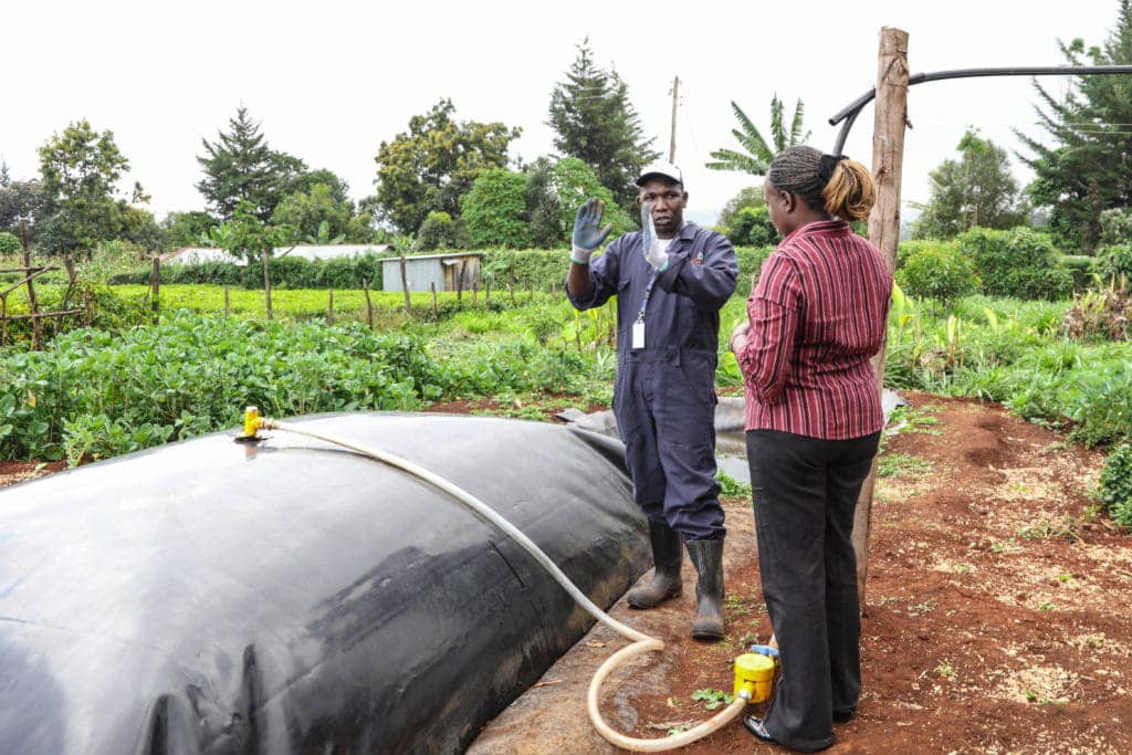 Geo-membrane Biodigester